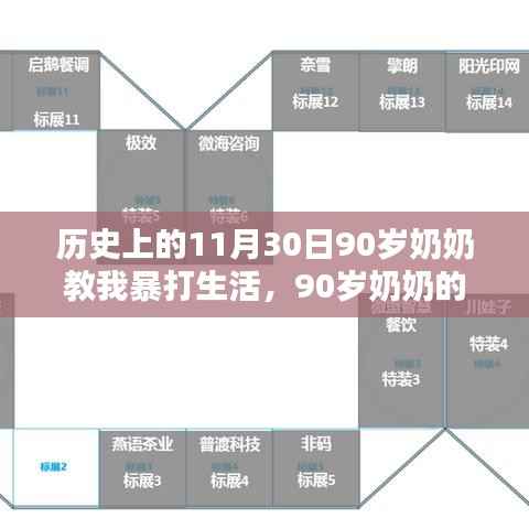 历史上的11月30日，90岁奶奶的智能生活秘籍与暴打生活启示录