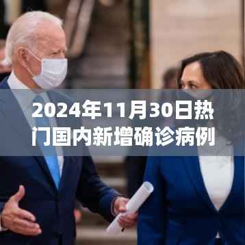 揭秘科技重塑抗疫之路,智能病例追踪系统体验报告(2024年热门国内新增确诊病例)