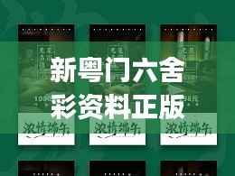 新粤门六舍彩资料正版,权威分析说明_9DM45.747-1
