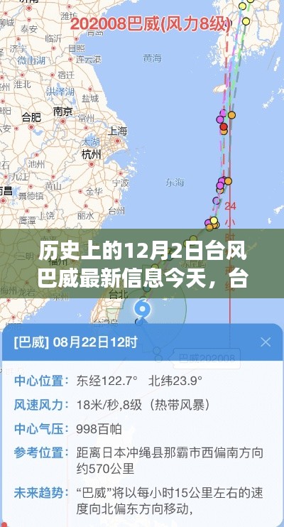 台风巴威下的暖心日常,友情邂逅与台风历史最新资讯