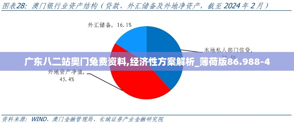 广东八二站奥门兔费资料,经济性方案解析_薄荷版86.988-4