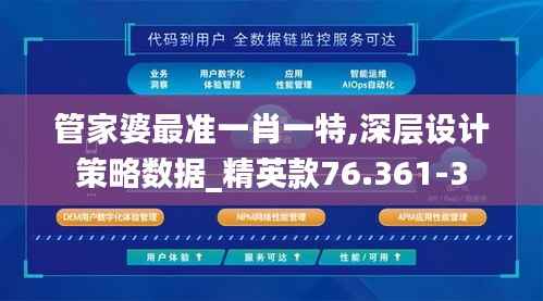 管家婆最准一肖一特,深层设计策略数据_精英款76.361-3