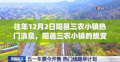 阳邑三农小镇蜕变日,学习与创新引领的自信与成就之旅