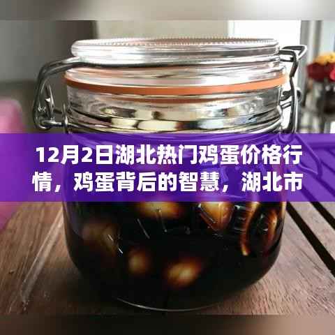 湖北鸡蛋市场揭秘,智慧背后的行情启示录——12月2日行情概览