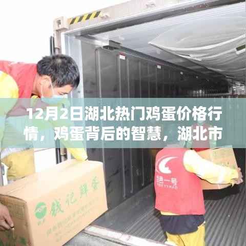 湖北鸡蛋市场揭秘,智慧背后的行情启示录——12月2日行情概览