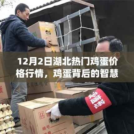湖北鸡蛋市场揭秘,智慧背后的行情启示录——12月2日行情概览
