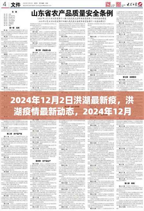 洪湖疫情最新动态，历史性转折与最新进展（2024年12月）