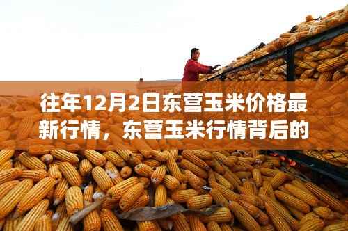 东营玉米行情探索之旅,寻找内心平静的玉米地奇遇记与最新价格行情分析