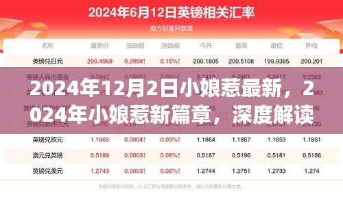 2024年小娘惹新篇章,深度解读与独特体验