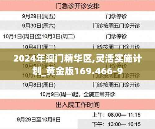 2024年澳门精华区,灵活实施计划_黄金版169.466-9