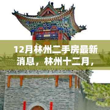 林州十二月二手房市场最新动态,温馨故事与家的纽带