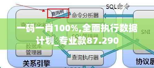 一码一肖100%,全面执行数据计划_专业款87.290