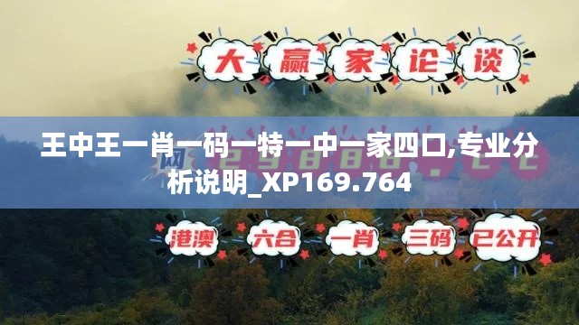 王中王一肖一码一特一中一家四口,专业分析说明_XP169.764