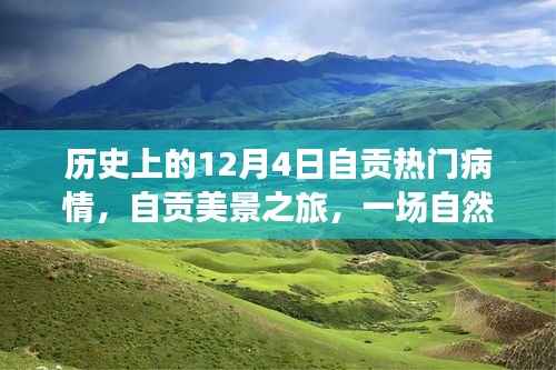 自贡美景之旅，历史疫情下的心灵洗礼与探寻内心宁静的喜悦之旅