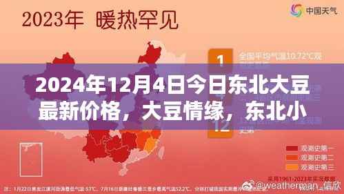 东北大豆最新价格揭秘，小镇情缘与温馨价格探秘，2024年大豆市场动态