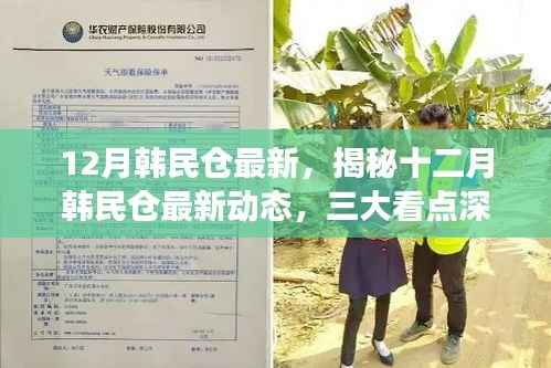 揭秘十二月韩民仓最新动态,三大看点深度解读速递