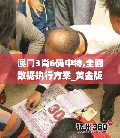 澳门3肖6码中特,全面数据执行方案_黄金版2.239