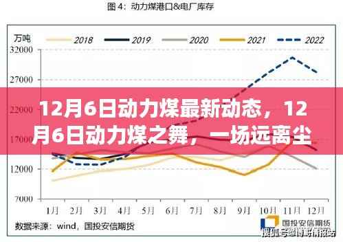 探寻内心平静的能源之旅,最新动力煤动态与启示