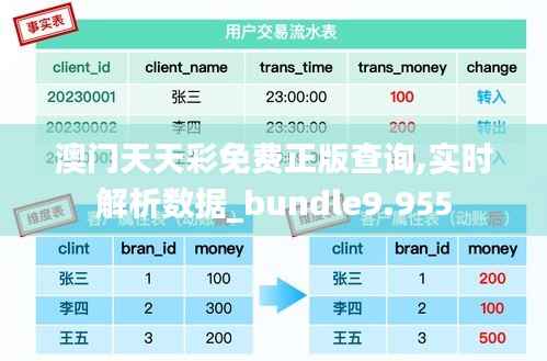 澳门天天彩免费正版查询,实时解析数据_bundle9.955