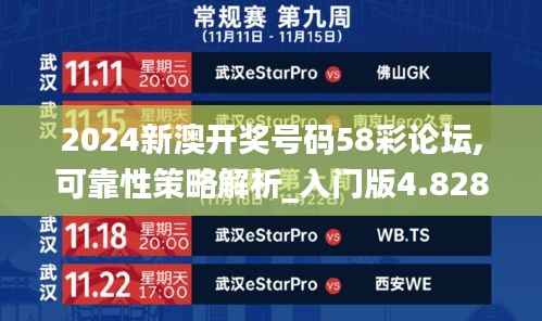 2024新澳开奖号码58彩论坛,可靠性策略解析_入门版4.828