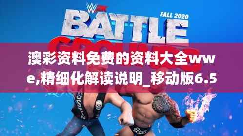 澳彩资料免费的资料大全wwe,精细化解读说明_移动版6.573