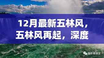 深度解读,十二月最新五林风再起与时代影响