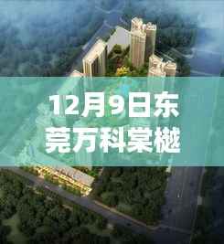 独家爆料,东莞万科棠樾最新价格揭秘,心动不如行动!