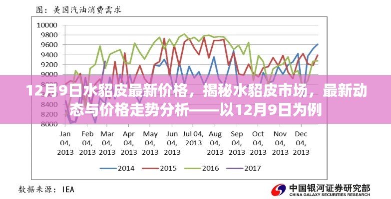揭秘水貂皮市场,最新价格动态与走势分析(以12月9日为例)