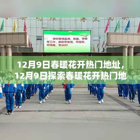 12月9日春暖花开热门地点探索指南，一步步完成任务的旅程