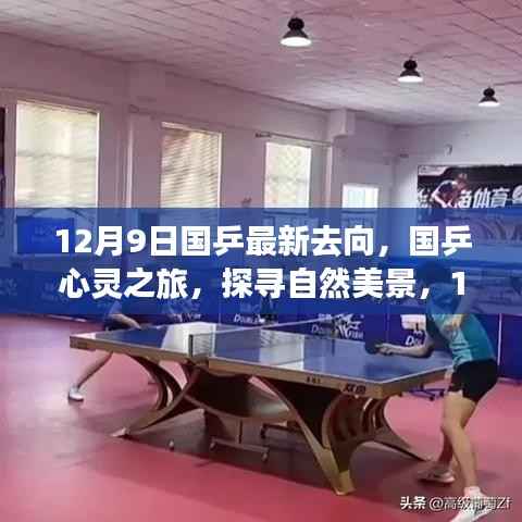 国乒心灵探寻之旅，自然美景中的宁静之旅（最新动向）
