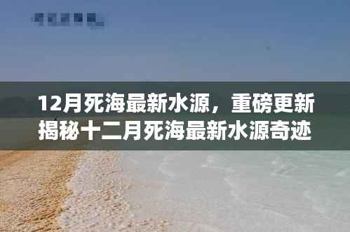 揭秘十二月死海最新水源奇迹,惊艳新发现!
