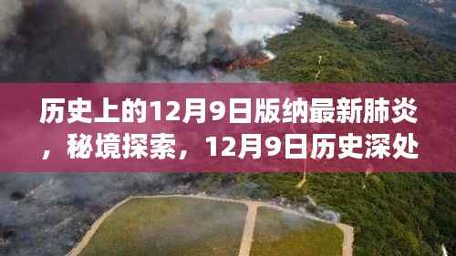 秘境探索与战疫美食，历史上的12月9日西双版纳版特色美食之旅