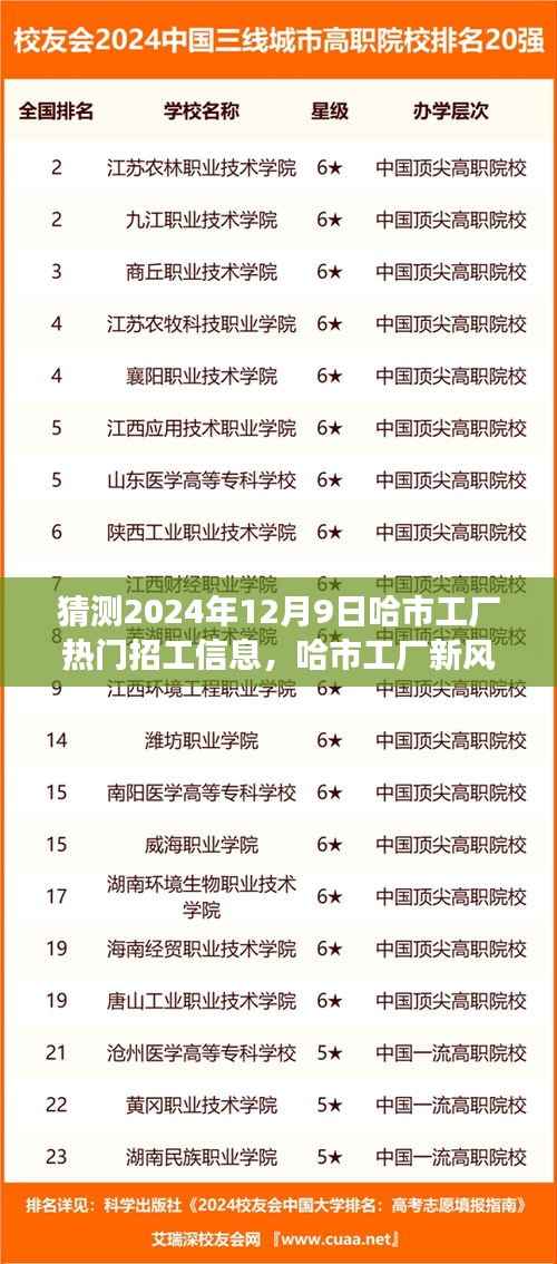 哈市工厂招工新动态与探寻自然美景之旅,2024年12月9日热门招工信息及工厂新风向展望