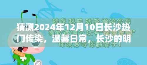 长沙热门传染病预测与友情传递,温馨日常到明日预言,长沙的抗疫与情感连结(2024年12月10日)