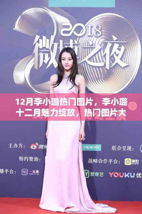 12月李小璐魅力绽放,热门图片大放送