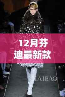 芬迪12月新款,时尚巅峰的瞩目之选