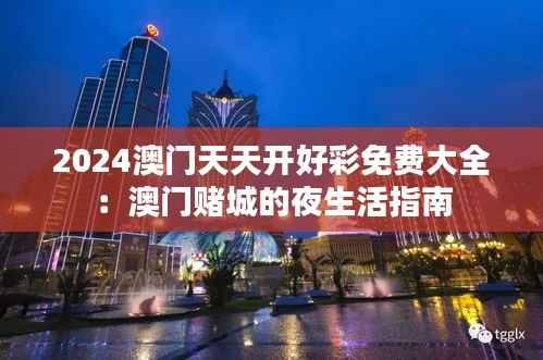 2024澳门天天开好彩免费大全:澳门赌城的夜生活指南