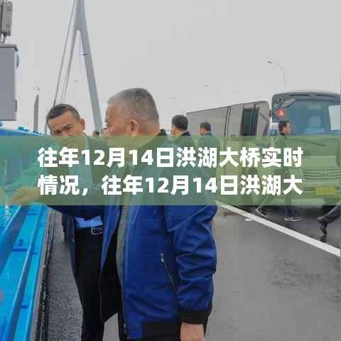 往年12月14日洪湖大桥深度评测,实时情况、特性、体验、竞品对比及用户分析