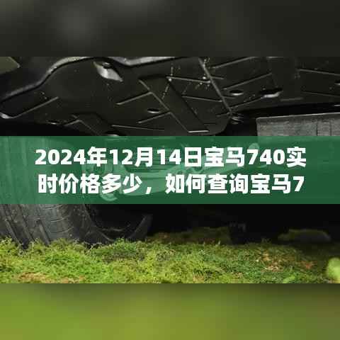 初学者指南，如何查询宝马740在特定日期的实时价格（以2024年12月14日为例）