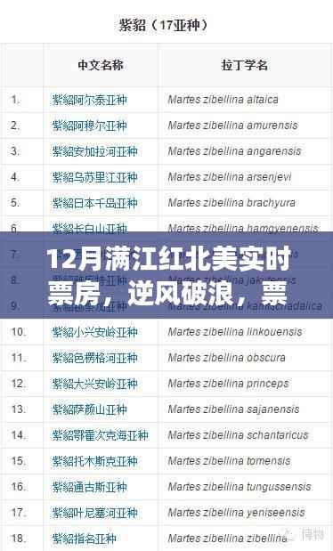 满江红背后的励志故事与北美票房奇迹,见证成长的力量