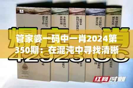 管家婆一码中一肖2024第350期:在混沌中寻找清晰的答案