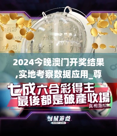 2024今晚澳门开奖结果,实地考察数据应用_尊享版6.999