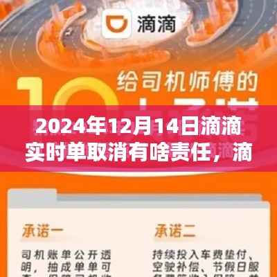 滴滴出行实时订单取消责任解析与操作指南,2024年最新版指南(附取消责任详解)