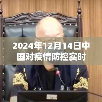 深度解析,中国疫情防控实时情况(截至2024年12月14日)