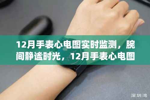 12月手表心电图监测,静谧时光中的自然探索之旅