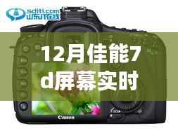 井蛙之见 第4页