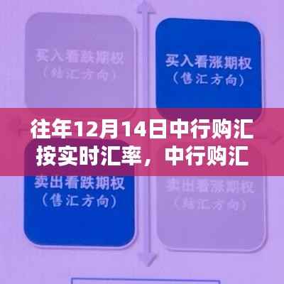 中行历年12月14日购汇指南及实时汇率概览