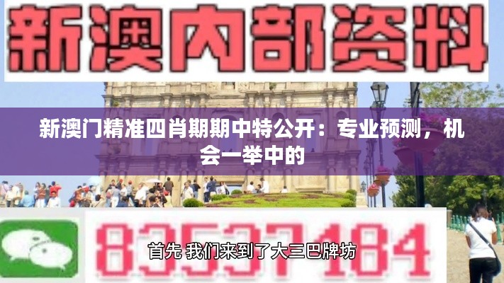 新澳门精准四肖期期中特公开:专业预测,机会一举中的