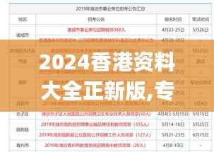 2024香港资料大全正新版,专业解析说明_VR3.735