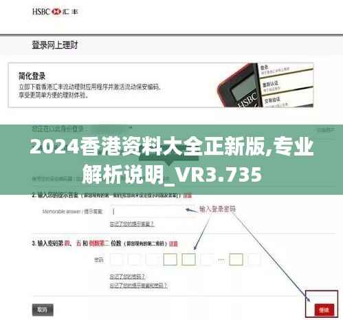 2024香港资料大全正新版,专业解析说明_VR3.735